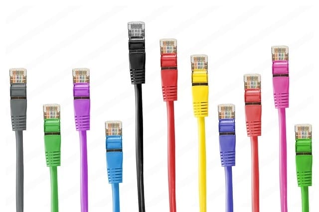 plugin wordpress